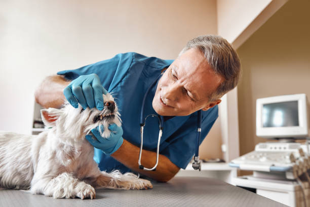 Best Weekend Emergency Dentist in Osage City, KS